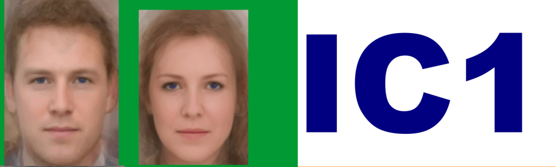 IC1 White Northern European