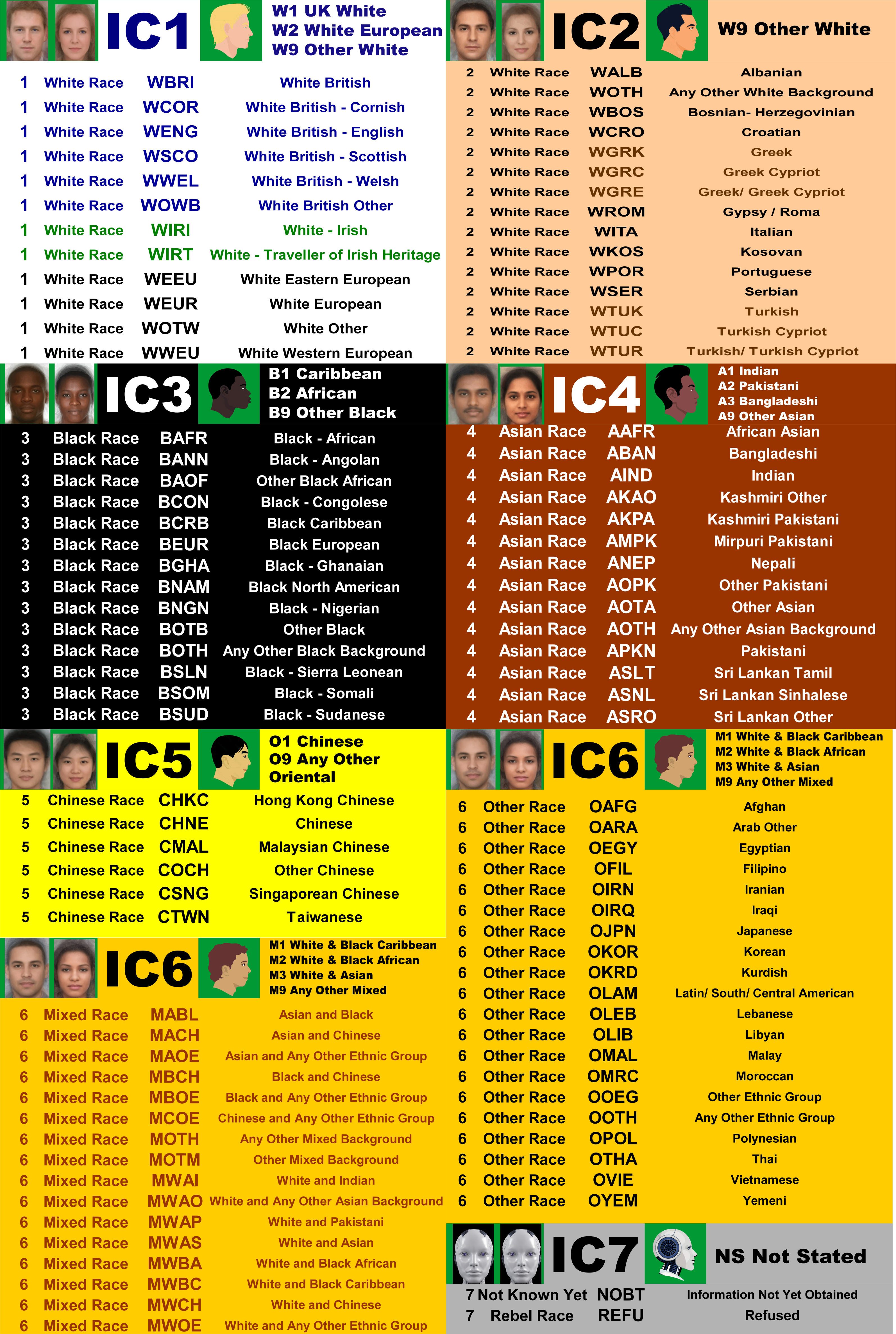 Ethnicity Codes
